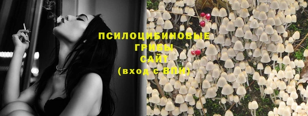 ГАЛЛЮЦИНОГЕННЫЕ ГРИБЫ Магадан