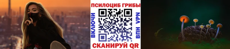 Галлюциногенные грибы Psilocybine cubensis  Купить где  Кировград 